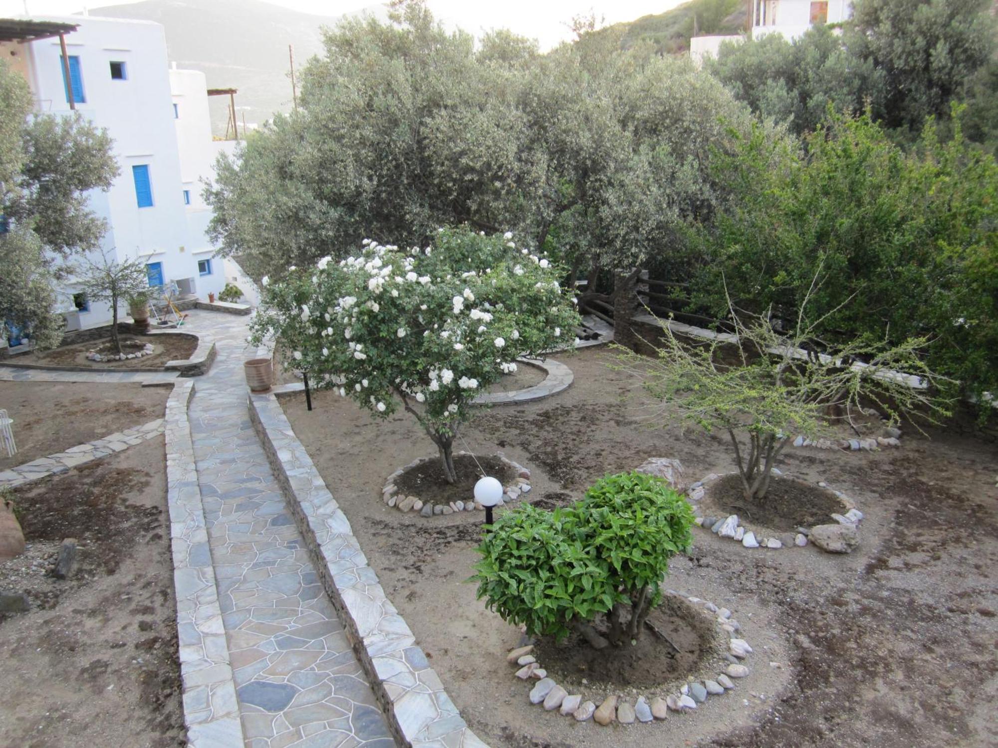 Alexandros Hotel Platis Gialos (Sifnos) Exterior foto