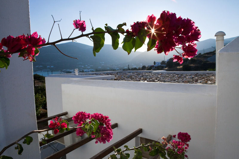 Alexandros Hotel Platis Gialos (Sifnos) Exterior foto